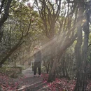 毕节旅游 缩略图 11