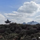毕节旅游 缩略图 2