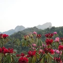 毕节旅游 缩略图 4