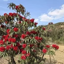 毕节旅游 缩略图 10