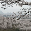 贵阳旅游 缩略图 1