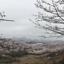 贵阳旅游 缩略图 2