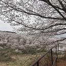 贵阳旅游 缩略图 3