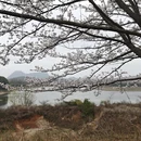 贵阳旅游 缩略图 5