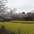 贵阳旅游 缩略图 6