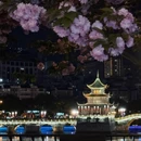 贵阳旅游 缩略图 4