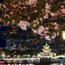 贵阳旅游 缩略图 2