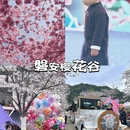 金华旅游 缩略图 1