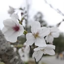 金华旅游 缩略图 5