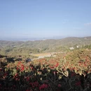 遵义旅游 缩略图 3