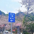 金华旅游 缩略图 10