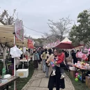 金华旅游 缩略图 11