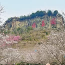 金华旅游 缩略图 9