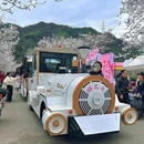 金华旅游 缩略图 7