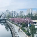 贵阳旅游 缩略图 3