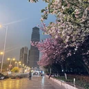 贵阳旅游 缩略图 6