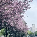 贵阳旅游 缩略图 4