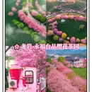 福州旅游 缩略图 3