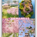 福州旅游 缩略图 2