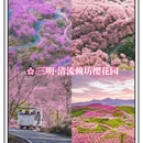 福州旅游 缩略图 10