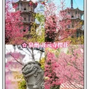 福州旅游 缩略图 5