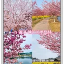 福州旅游 缩略图 7