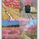 福州旅游 缩略图 8