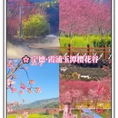福州旅游 缩略图 9