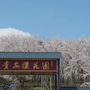 安顺旅游 缩略图 6
