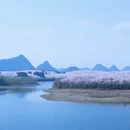 安顺旅游 缩略图 8