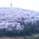 安顺旅游 缩略图 5