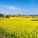 安顺旅游 缩略图 7