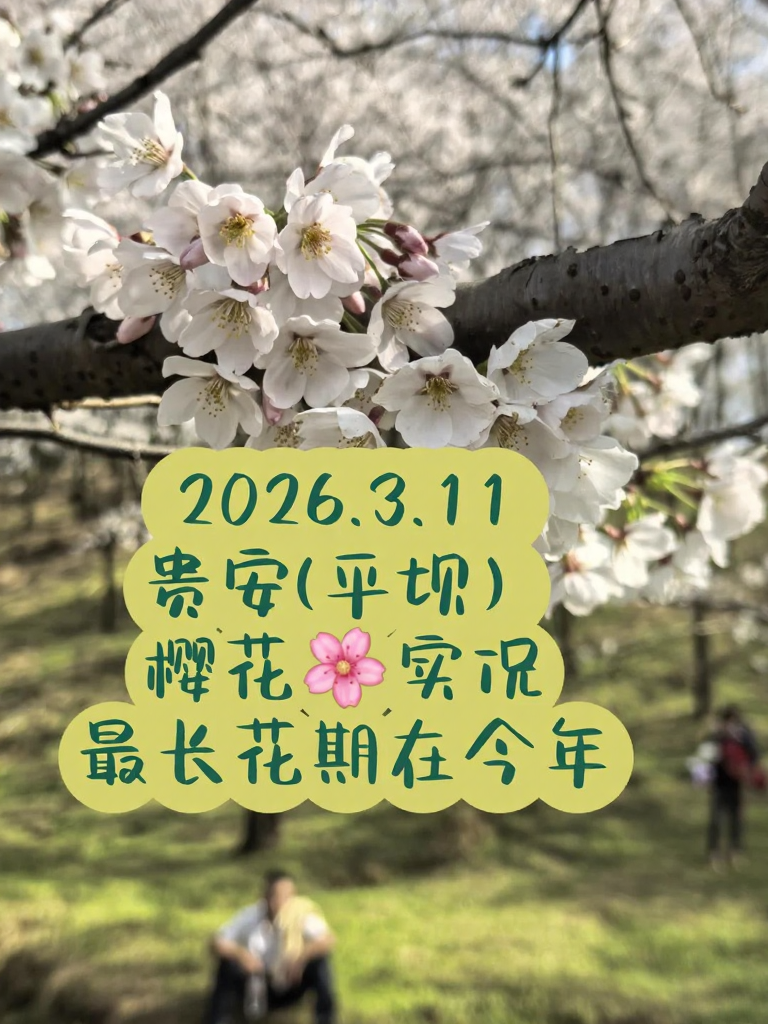 贵阳旅游
