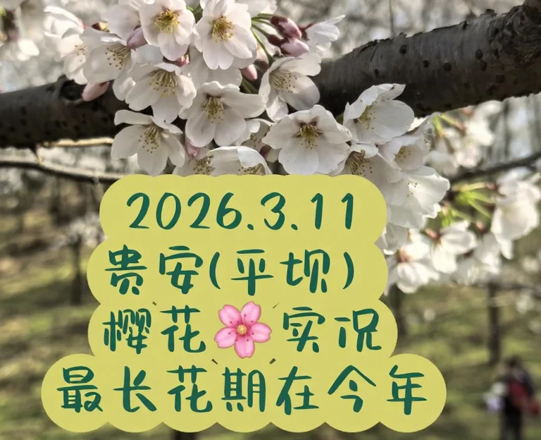 贵阳旅游 1