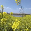 贵阳旅游 缩略图 4