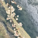 贵阳旅游 缩略图 3