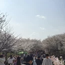 贵阳旅游 缩略图 2
