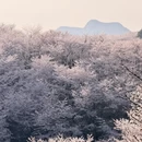 贵阳旅游 缩略图 2