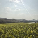 贵阳旅游 缩略图 5