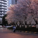 贵阳旅游 缩略图 7