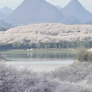 贵阳旅游 缩略图 7