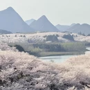 贵阳旅游 缩略图 4