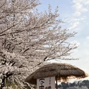 贵阳旅游 缩略图 1
