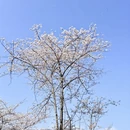 贵阳旅游 缩略图 9