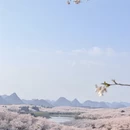 贵阳旅游 缩略图 6