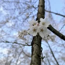 贵阳旅游 缩略图 15