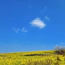 贵阳旅游 缩略图 13