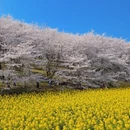 贵阳旅游 缩略图 8