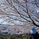 贵阳旅游 缩略图 7