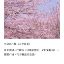 贵阳旅游 缩略图 5